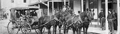 Early third party logistics company